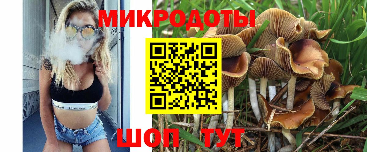 Галлюциногенные грибы мицелий  Псилоцибиновые грибы MAGIC MUSHROOMS  Рославль  Вход с VPN 